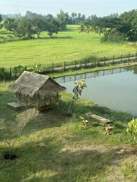 ขาย/เช่า ที่ดินพร้อมสิ่งปลูกสร้าง อ.สีคิ้ว จ.นครราชสีมา, Nakhon Ratchasima, Si Khiu, Sikhiu, Nakhon Ratchasima, , 12,720 sqm, Land For Sale, by พงศ์ภัทร์ ธัญโชควราพงศ์, 500319561 - DDproperty.com