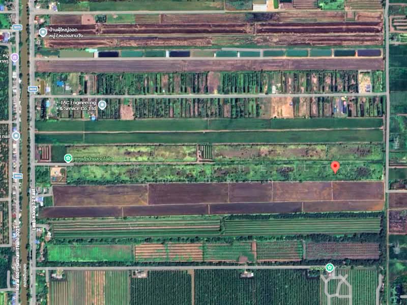 ที่ดิน 1 ไร่ เลียบคลอง 12 ตำบล หนองสามวัง อำเภอ หนองเสือ ปทุมธานี, ปทุมธานี, หนองสามวัง, หนองเสือ, ปทุมธานี, 1,600 ตร.ม., ที่ดิน ขาย, โดย HOMEPLUS REALTY - คุณเป็ดเก่ง, 500319677 - DDproperty.com