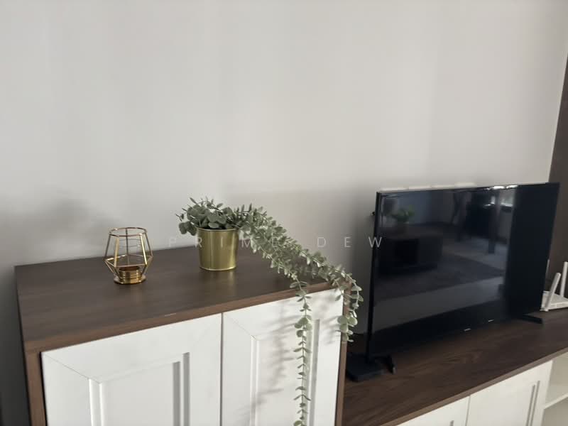 The Base Central, Phuket, Chao Fah Tawan Tok Rd, Wichit, Muang Phuket, Phuket, Studio, 29 sqm, Condo For Rent, by Prime Dew, 500319732 - DDproperty.com