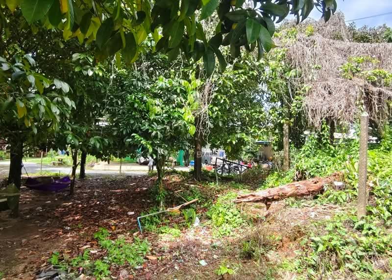 ที่ดินคลองนารายณ์ จันทบุรี, Chanthaburi, Khlong Narai, Muang Chanthaburi, Chanthaburi, , 300 sqm, Land For Sale, by The Best Property อีฟ, 500319761 - DDproperty.com