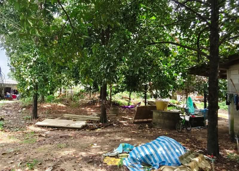 ที่ดินคลองนารายณ์ จันทบุรี, Chanthaburi, Khlong Narai, Muang Chanthaburi, Chanthaburi, , 300 sqm, Land For Sale, by The Best Property อีฟ, 500319761 - DDproperty.com
