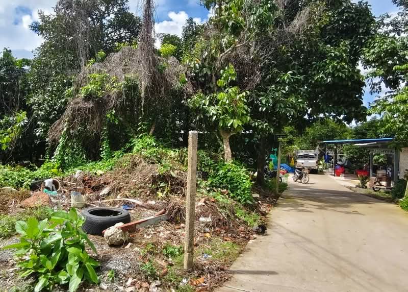 ที่ดินคลองนารายณ์ จันทบุรี, จันทบุรี, คลองนารายณ์, เมืองจันทบุรี, จันทบุรี, 300 ตร.ม., ที่ดิน ขาย, โดย The Best Property อีฟ, 500319761 - DDproperty.com
