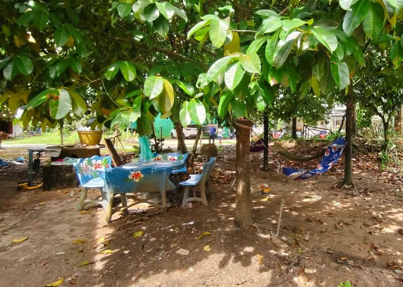 ที่ดินคลองนารายณ์ จันทบุรี, จันทบุรี, คลองนารายณ์, เมืองจันทบุรี, จันทบุรี, 300 ตร.ม., ที่ดิน ขาย, โดย The Best Property อีฟ, 500319761 - DDproperty.com