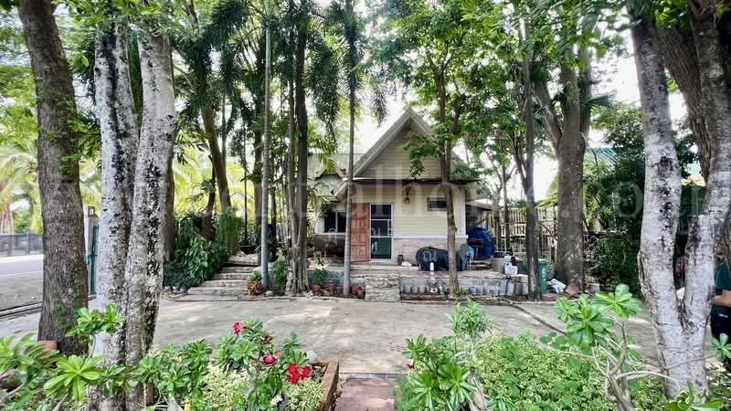 ที่ดิน 2 ไร่ พร้อมสิ่งปลูกสร้าง ไทรน้อย - นนทบุรี, Nonthaburi, ถนนโครงการในหมู่บ้าน บ้านหม่อมแช่ม, Khun Sri, Sai Noi, Nonthaburi, , 3,200 sqm, Land For Sale, by คุณ ธนพวรรณ (ณวรรณ), 500319854 - DDproperty.com