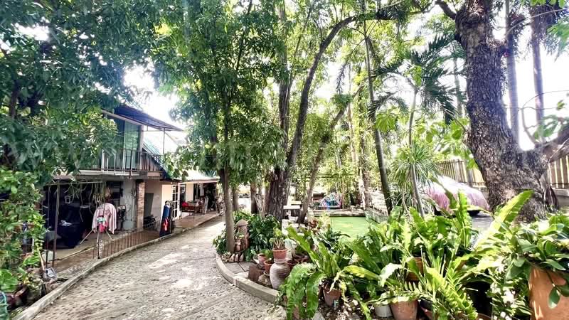 ที่ดิน 2 ไร่ พร้อมสิ่งปลูกสร้าง ไทรน้อย - นนทบุรี, นนทบุรี, ถนนโครงการในหมู่บ้าน บ้านหม่อมแช่ม, ขุนศรี, ไทรน้อย, นนทบุรี, 3,200 ตร.ม., ที่ดิน ขาย, โดย คุณ ธนพวรรณ (ณวรรณ), 500319854 - DDproperty.com
