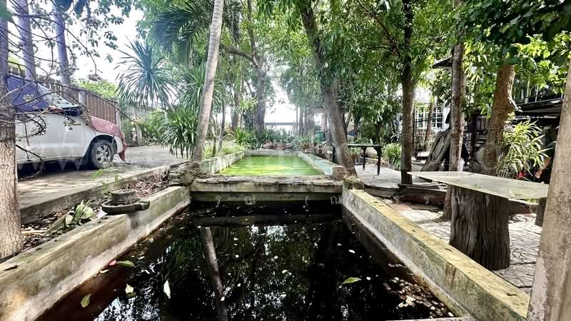 ที่ดิน 2 ไร่ พร้อมสิ่งปลูกสร้าง ไทรน้อย - นนทบุรี, Nonthaburi, ถนนโครงการในหมู่บ้าน บ้านหม่อมแช่ม, Khun Sri, Sai Noi, Nonthaburi, , 3,200 sqm, Land For Sale, by คุณ ธนพวรรณ (ณวรรณ), 500319854 - DDproperty.com