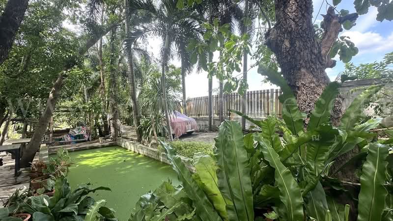 ที่ดิน 2 ไร่ พร้อมสิ่งปลูกสร้าง ไทรน้อย - นนทบุรี, นนทบุรี, ถนนโครงการในหมู่บ้าน บ้านหม่อมแช่ม, ขุนศรี, ไทรน้อย, นนทบุรี, 3,200 ตร.ม., ที่ดิน ขาย, โดย คุณ ธนพวรรณ (ณวรรณ), 500319854 - DDproperty.com