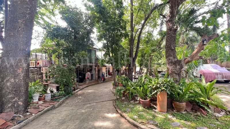 ที่ดิน 2 ไร่ พร้อมสิ่งปลูกสร้าง ไทรน้อย - นนทบุรี, Nonthaburi, ถนนโครงการในหมู่บ้าน บ้านหม่อมแช่ม, Khun Sri, Sai Noi, Nonthaburi, , 3,200 sqm, Land For Sale, by คุณ ธนพวรรณ (ณวรรณ), 500319854 - DDproperty.com