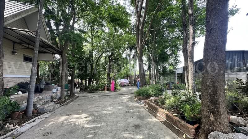 ที่ดิน 2 ไร่ พร้อมสิ่งปลูกสร้าง ไทรน้อย - นนทบุรี, Nonthaburi, ถนนโครงการในหมู่บ้าน บ้านหม่อมแช่ม, Khun Sri, Sai Noi, Nonthaburi, , 3,200 sqm, Land For Sale, by คุณ ธนพวรรณ (ณวรรณ), 500319854 - DDproperty.com