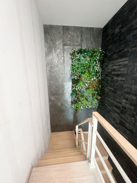 Casa Presto Donmuang-Songprapa, Bangkok, Srongprapha Donmuang, Si Khan, Don Mueang, Bangkok, 4 Bedrooms, 150 sqm, Single Detached House For Sale, by The Best Property รัตน์, 500319955 - DDproperty.com