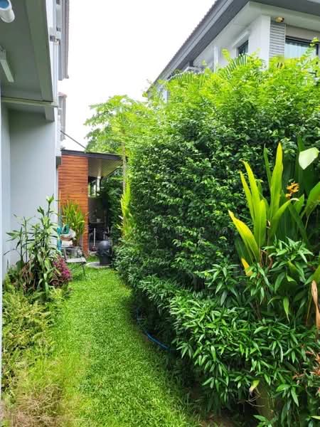 Venue Rama 5, Nonthaburi, 126 Nakhon In Rd, Bang Phai, Muang Nonthaburi, Nonthaburi, 3 Bedrooms, 194 sqm, Single Detached House For Rent, by ปรินทร์ญาดา ชิณโชติ, 500320010 - DDproperty.com