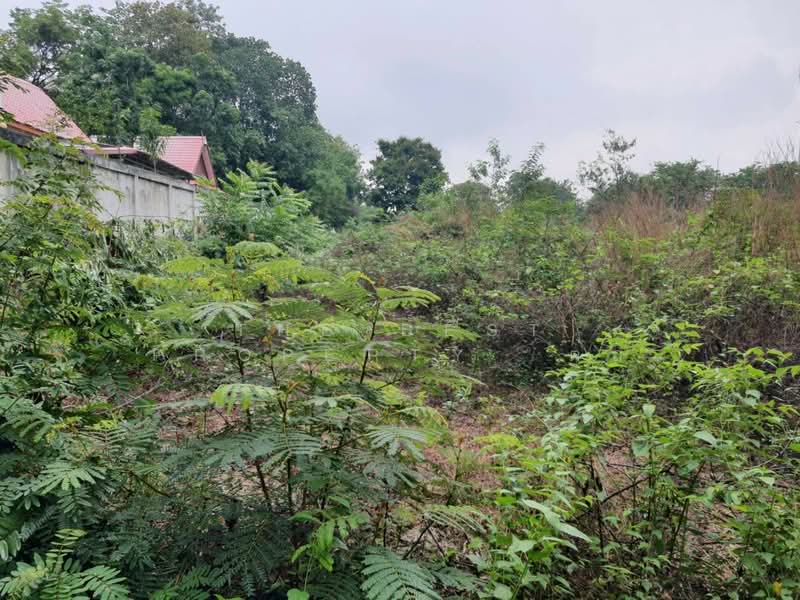 ที่ดินโคกสะอาด อุดรธานี, Udon Thani, Kok Sa-at, Muang Udon Thani, Udon Thani, , 808 sqm, Land For Sale, by The Best Property  ต่อ, 500320139 - DDproperty.com