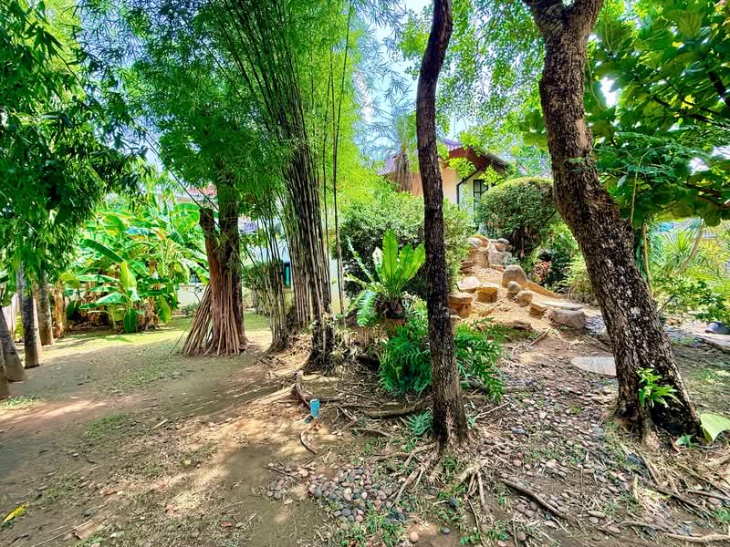 Kritsada Nakron 18 : กฤษดา นคร 18, กรุงเทพ, ศาลาธรรมสพน์, ทวีวัฒนา, กรุงเทพ, 340 ตร.ม., บ้านเดี่ยว ขาย, โดย ธีรนุช ธีระวาทิน, 500320235 - DDproperty.com
