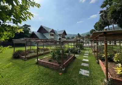 ขาย - บ้าน 5-ห้องนอน, ภูเก็ต