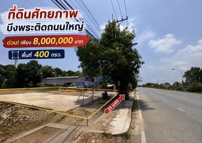ขาย - ที่ดินบึงพระ เมืองพิษณุโลก ติดถนนใหญ่, พิษณุโลก