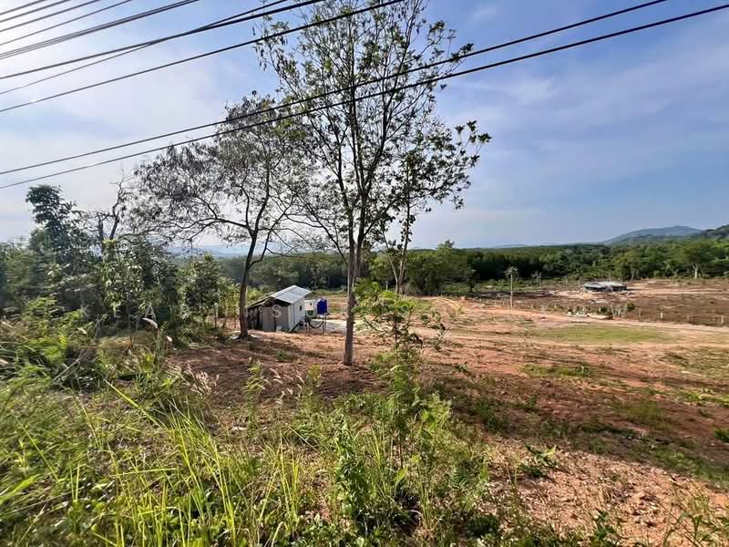 Studio House, Phuket, Ratsada, Muang Phuket, Phuket, Studio, 47 sqm, Single Detached House For Sale, by Keartisuk Sookkow, 500320423 - DDproperty.com