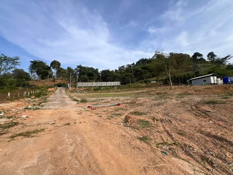 Studio House, Phuket, Ratsada, Muang Phuket, Phuket, Studio, 47 sqm, Single Detached House For Sale, by Keartisuk Sookkow, 500320423 - DDproperty.com