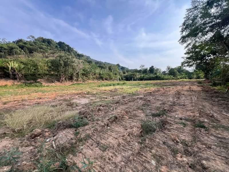 Studio House, Phuket, Ratsada, Muang Phuket, Phuket, Studio, 47 sqm, Single Detached House For Sale, by Keartisuk Sookkow, 500320423 - DDproperty.com
