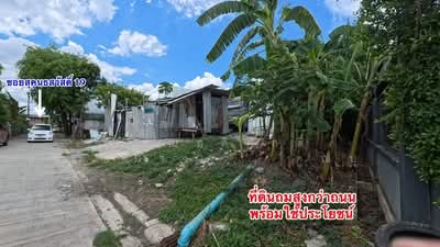 ขาย - ที่ดิน ถ.เกษตร นวมินทร์ ซ.สุคนธสวัสดิ์ 19 แขวงลาดพร้าว เขตลาดพร้าว จ.กรุงเทพมหานคร 10230, กรุงเทพ