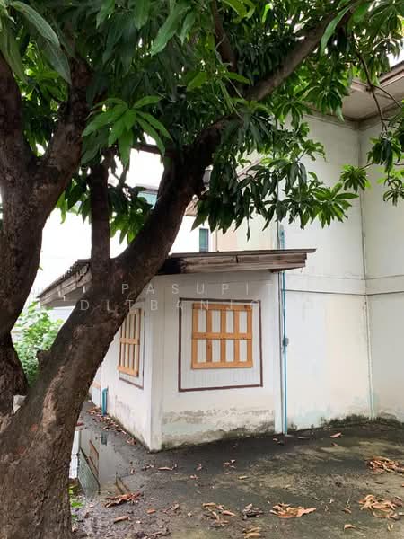 2-BR House, Bangkok, Thung Maha Mek, Sathon, Bangkok, 2 Bedrooms, 93 sqm, Single Detached House For Rent, by Pasupit Ditbanjong, 500320479 - DDproperty.com