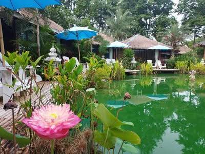ขาย - undefined, ชลบุรี