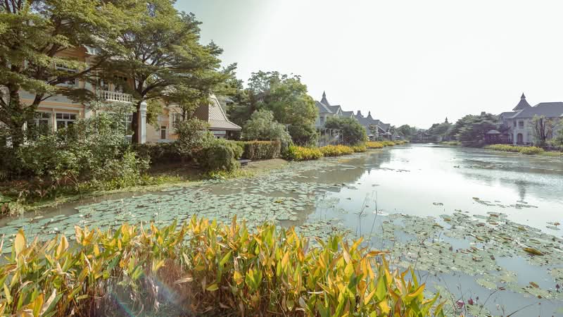 The Royal Residence : เดอะ รอยัล เรสซิเดนท์, กรุงเทพ, ถนนประเสริฐมนูกิจ, จรเข้บัว, ลาดพร้าว, กรุงเทพ, 711 ตร.ม., บ้านเดี่ยว ขาย, โดย โรส, 500320634 - DDproperty.com