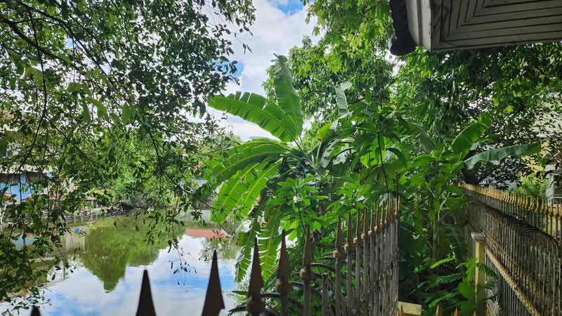 Perfect Place Ramkhamhaeng 164 : เพอร์เฟค เพลส รามคำแหง 164, กรุงเทพ, ซอยรามคำแหง 164, สะพานสูง, กรุงเทพ, 480 ตร.ม., บ้านเดี่ยว ให้เช่า, โดย ธนะชัย อร่ามเรืองรัตน์, 500320705 - 10) Tropical Waterfront วิวต้นไม้และริมน - DDproperty.com