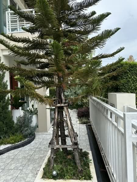 Bangkok Boulevard Ratchapruek – Rama 5 (2), Nonthaburi, Ratchaphruek Road, Bang Krang, Muang Nonthaburi, Nonthaburi, 5 Bedrooms, 240 sqm, Single Detached House For Sale, by Connex Property, 500320944 - DDproperty.com