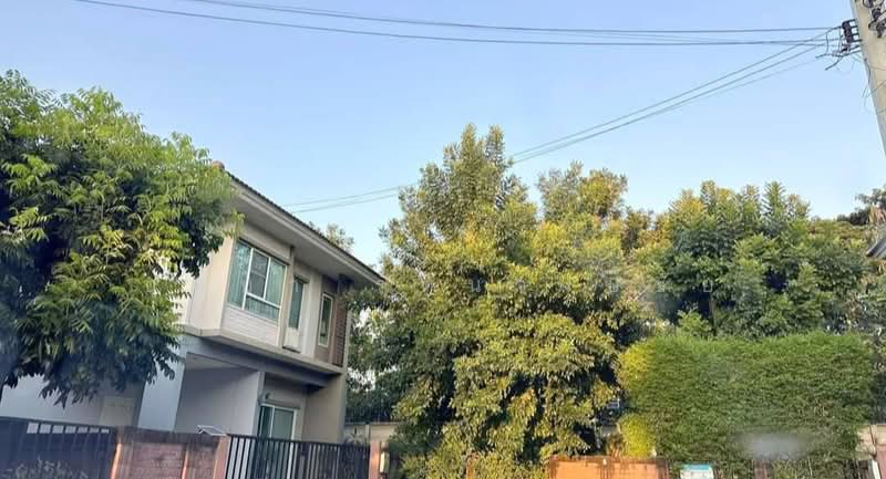 The Plant Simpls Ramkhamheang 118, Bangkok, Soi Ramkhamhaeng 118, Ramkhamhaeng Road, Saphan Sung, Bangkok, 3 Bedrooms, 160 sqm, Single Detached House For Rent, by บุษบา รัตนวงษ์ชัย, 500320945 - DDproperty.com