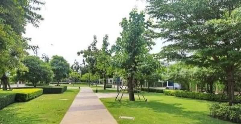 The Plant Simpls Ramkhamheang 118 : เดอะแพลนท์ ซิมพลีส รามคำแหง 118, กรุงเทพ, ซอยรามคำแหง 118 ถนนรามคำแหง, สะพานสูง, กรุงเทพ, 160 ตร.ม., บ้านเดี่ยว ให้เช่า, โดย บุษบา รัตนวงษ์ชัย, 500320945 - DDproperty.com