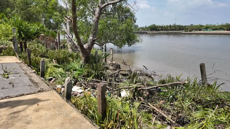 ที่ดิน ริมน้ำแม่กลอง, Samut Songkhram, Thai Hat, Muang Samut Songkhram, Samut Songkhram, , 7,704 sqm, Land For Sale, by Kanyarak Borwornsetthaskul, 500321008 - DDproperty.com
