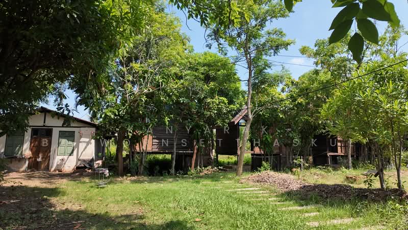 ที่ดิน ริมน้ำแม่กลอง, Samut Songkhram, Thai Hat, Muang Samut Songkhram, Samut Songkhram, , 7,704 sqm, Land For Sale, by Kanyarak Borwornsetthaskul, 500321008 - DDproperty.com