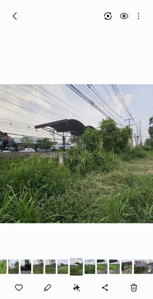 Prime Location Pathum Thani Sai Nai (Future Pathum Thani 3 Bridge Zone), Pathum Thani, ปทุมธานีสายใน, Bang Kha Yaeng, Muang Pathum Thani, Pathum Thani, , 22,088 sqm, Land For Sale, by Bongkoch Rattanavichai, 500321044 - DDproperty.com