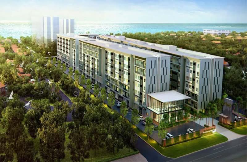 The Trust Hua Hin, Prachuap Khiri Khan, 53 Petchkasem, Hua Hin, Prachuap Khiri Khan, 1 Bedroom, 33 sqm, Condo For Rent, by Patchara Srisak, 500321347 - DDproperty.com