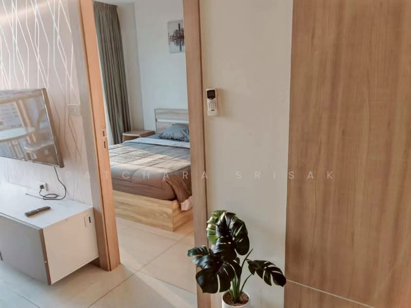 The Riviera Jomtien : เดอะ ริเวียร่า จอมเทียน, ชลบุรี, ถนนพัทยาสาย 2, หนองปรือ, บางละมุง, ชลบุรี, 35 ตร.ม., คอนโด ให้เช่า, โดย Patchara Srisak, 500321570 - DDproperty.com