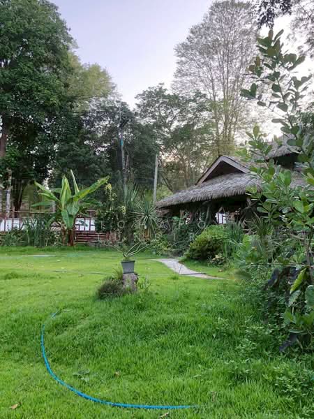 บ้านให้เช่า – ใกล้เจ็ดยอดพลาซ่า เพียง 5 นาที ค่าเช่า 30,000 บาท / เดือน รหัสทรัพย์ : No.2H129, Chiang Mai, Chang Phuak, Muang Chiang Mai, Chiang Mai, 3 Bedrooms, 100 sqm, Single Detached House For Rent, by Rutchaporn Tunsiri, 500321630 - DDproperty.com
