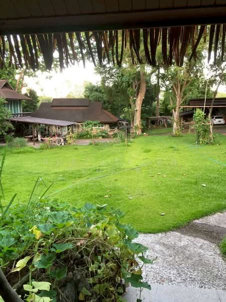 บ้านให้เช่า – ใกล้เจ็ดยอดพลาซ่า เพียง 5 นาที ค่าเช่า 30,000 บาท / เดือน รหัสทรัพย์ : No.2H129, Chiang Mai, Chang Phuak, Muang Chiang Mai, Chiang Mai, 3 Bedrooms, 100 sqm, Single Detached House For Rent, by Rutchaporn Tunsiri, 500321630 - DDproperty.com