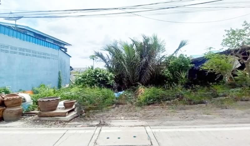 Soi Anamai 1, Samut Prakan, Nai Khlong Bang Pla Kot, Phra Samut Jadee, Samut Prakan, , 288 sqm, Land For Sale, by ชนะชาติ นนท์ตา, 500321681 - DDproperty.com