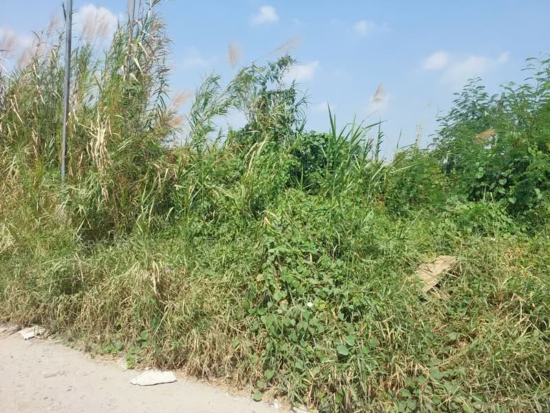 ที่ดินประเวศ กรุงเทพมหานคร, กรุงเทพ, ดอกไม้, ประเวศ, กรุงเทพ, 468 ตร.ม., ที่ดิน ขาย, โดย The Best Property วรรณ, 500321776 - DDproperty.com