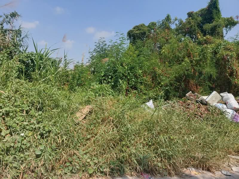 ที่ดินประเวศ กรุงเทพมหานคร, Bangkok, Dok Mai, Prawet, Bangkok, , 468 sqm, Land For Sale, by The Best Property วรรณ, 500321776 - DDproperty.com