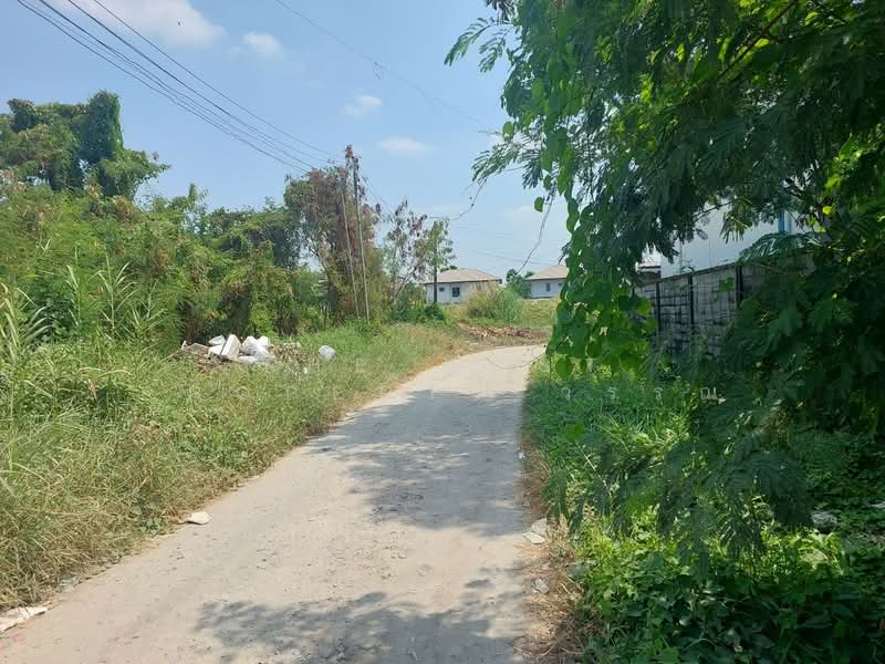 ที่ดินประเวศ กรุงเทพมหานคร, กรุงเทพ, ดอกไม้, ประเวศ, กรุงเทพ, 468 ตร.ม., ที่ดิน ขาย, โดย The Best Property วรรณ, 500321776 - DDproperty.com