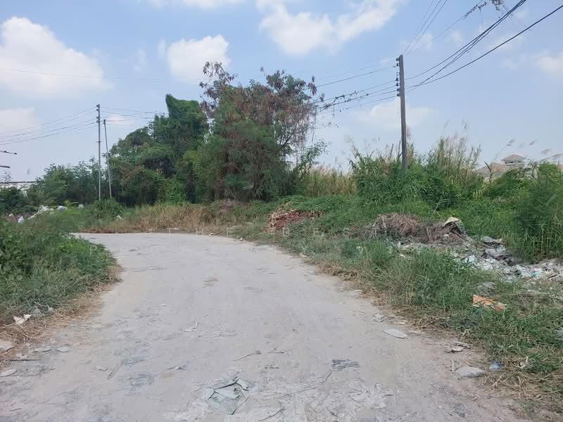 ที่ดินประเวศ กรุงเทพมหานคร, กรุงเทพ, ดอกไม้, ประเวศ, กรุงเทพ, 468 ตร.ม., ที่ดิน ขาย, โดย The Best Property วรรณ, 500321776 - DDproperty.com