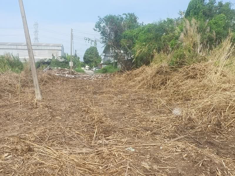 ที่ดินประเวศ กรุงเทพมหานคร, Bangkok, Dok Mai, Prawet, Bangkok, , 468 sqm, Land For Sale, by The Best Property วรรณ, 500321776 - DDproperty.com