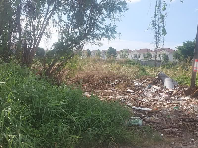 ที่ดินประเวศ กรุงเทพมหานคร, Bangkok, Dok Mai, Prawet, Bangkok, , 468 sqm, Land For Sale, by The Best Property วรรณ, 500321776 - DDproperty.com