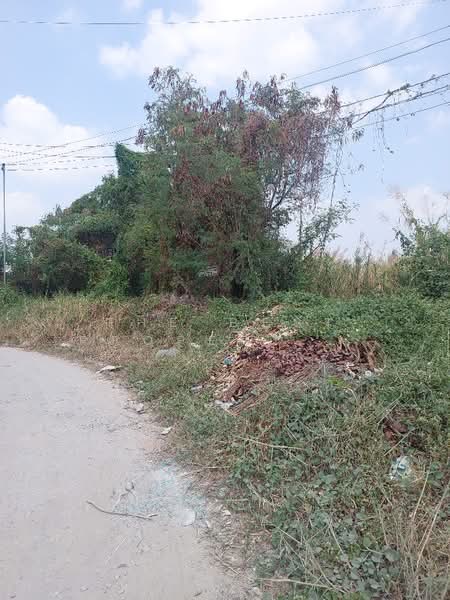 ที่ดินประเวศ กรุงเทพมหานคร, กรุงเทพ, ดอกไม้, ประเวศ, กรุงเทพ, 468 ตร.ม., ที่ดิน ขาย, โดย The Best Property วรรณ, 500321776 - DDproperty.com