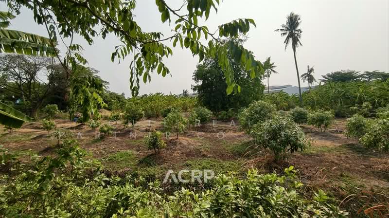 Rare Item !! Prime Land on Ratchaphruek Road (Outbound) – Opposite Robinson Lifestyle Ratchaphruek, Nonthaburi, Khlong Khoi, Pak Kret, Nonthaburi, , 5,340 sqm, Land For Sale, by Acute Realty Partner Co.,Ltd., 500321833 - DDproperty.com