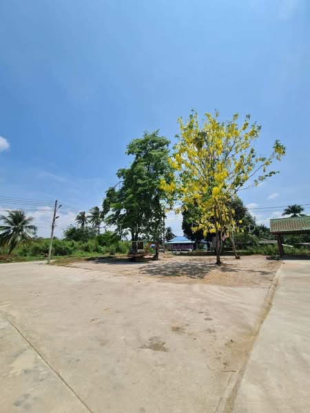 คลองใหม่, นครปฐม, คลองใหม่, สามพราน, นครปฐม, 11,116 ตร.ม., ที่ดิน ขาย, โดย ERA Thailand, 500321919 - DDproperty.com