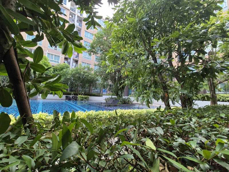 Dcondo Campus Resort Kuku, ภูเก็ต, 62 Moo 3, รัษฎา, เมืองภูเก็ต, ภูเก็ต, 62 ตร.ม., คอนโด ขาย, โดย Fazwaz (Thailand) Co., Ltd., 500321995 - DDproperty.com