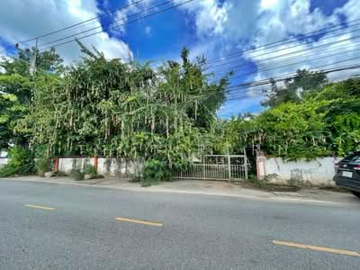 ขาย - บ้าน 3-ห้องนอน, ชลบุรี