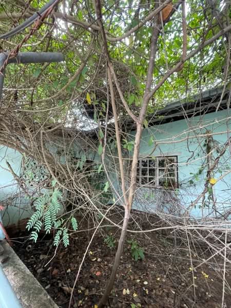 3-BR House, Chon Buri (Pattaya), Sattahip, Chon Buri (Pattaya), 3 Bedrooms, 1,212 sqm, Single Detached House For Sale, by Thitiporn Pawikham, 500322013 - DDproperty.com